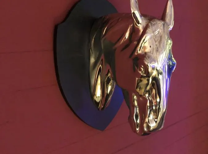 Petersen's فندق شاربوتس